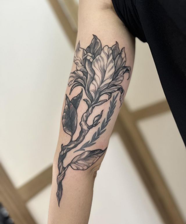 Petit cover magnolia sur tatouage et laser, merci Anaïs 🪻

@lepicerietattoo 

#tattoos #tattoobordeaux #tatouagefrance #inkedpeople #tattoocoverup #engraving #engraverstattoo #tattoogravure #flowertattoo #instaart #freehand
